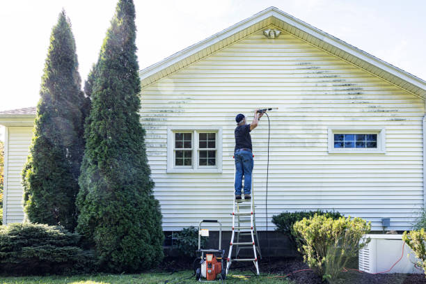 Trusted Manassas, VA Pressure Washing Services Experts